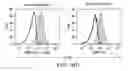 Fig. 13 - Method of treatment for leukemia using an anti-IL1RAP antibody