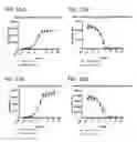 Fig. 18 - Multivalent and multispecific 41BB-binding fusion proteins