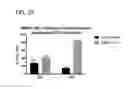Fig. 27 - Multivalent and multispecific 41BB-binding fusion proteins