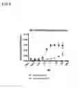 Fig. 07 - MULTIVALENT AND MULTISPECIFIC OX40-BINDING FUSION PROTEINS