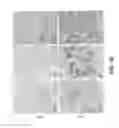 Fig. 11 - Use of semaphorin-4D binding molecules for treating neurodegenerative disorders