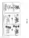 Fig. 15 - Use of semaphorin-4D binding molecules for treating neurodegenerative disorders