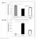 Fig. 04 - MITIGATION OF LUNG INJURY