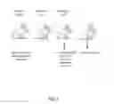 Fig. 09 - INFLUENZA VACCINES AND METHODS OF USE THEREOF