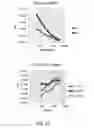 Fig. 14 - INFLUENZA VACCINES AND METHODS OF USE THEREOF