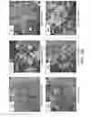 Fig. 19 - INFLUENZA VACCINES AND METHODS OF USE THEREOF