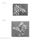 Fig. 02 - Package for pellets of saponified ethylene-vinyl ester-based copolymer or resin composition thereof