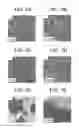 Fig. 08 - Functionalized block composite and crystalline block composite compositions
