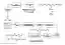 Fig. 01 - Post polymerization cure shape memory polymers