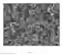 Fig. 04 - POLYOLEFIN-BASED COMPOSITIONS, ADHESIVES, AND RELATED MULTI-LAYERED STRUCTURES PREPARED THEREFROM