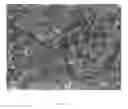 Fig. 05 - POLYOLEFIN-BASED COMPOSITIONS, ADHESIVES, AND RELATED MULTI-LAYERED STRUCTURES PREPARED THEREFROM