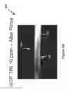 Fig. 10 - System and method for inhibiting scale formation in oil wells