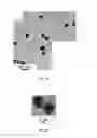 Fig. 05 - Monodispersed carboxylate functionalized gold nanoparticles and their size controlled preparation using pamoic acid as a reducing and capping reagent