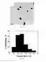 Fig. 06 - Monodispersed carboxylate functionalized gold nanoparticles and their size controlled preparation using pamoic acid as a reducing and capping reagent