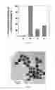 Fig. 13 - Monodispersed carboxylate functionalized gold nanoparticles and their size controlled preparation using pamoic acid as a reducing and capping reagent