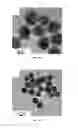 Fig. 14 - Monodispersed carboxylate functionalized gold nanoparticles and their size controlled preparation using pamoic acid as a reducing and capping reagent