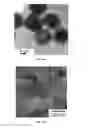 Fig. 15 - Monodispersed carboxylate functionalized gold nanoparticles and their size controlled preparation using pamoic acid as a reducing and capping reagent