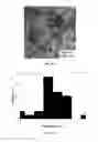 Fig. 17 - Monodispersed carboxylate functionalized gold nanoparticles and their size controlled preparation using pamoic acid as a reducing and capping reagent