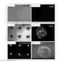 Fig. 12 - METHOD FOR MANUFACTURING MICRO-HEMISPHERE ARRAY PLATE, MICROFLUIDIC DEVICE COMPRISING MICRO-HEMISPHERE ARRAY PLATE, AND METHOD FOR CULTURING CELL AGGREGATE USING SAME