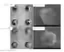 Fig. 13 - METHOD FOR MANUFACTURING MICRO-HEMISPHERE ARRAY PLATE, MICROFLUIDIC DEVICE COMPRISING MICRO-HEMISPHERE ARRAY PLATE, AND METHOD FOR CULTURING CELL AGGREGATE USING SAME