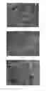 Fig. 04 - SPECIFIC MEDIUM FOR LONG-TERM MAINTENANCE AND PROLIFERATION SUBCULTURE OF HUMAN HEPATOCYTES AND CULTURE METHOD