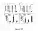 Fig. 06 - Induced pluripotent cell-derived oligodendrocyte progenitor cells for the treatment of myelin disorders