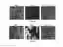 Fig. 10 - Encapsulation and cardiac differentiation of hiPSCs in 3D PEG-fibrinogen hydrogels