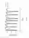 Fig. 17 - Encapsulation and cardiac differentiation of hiPSCs in 3D PEG-fibrinogen hydrogels