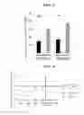 Fig. 04 - Culture medium for mesenchymal stem cells