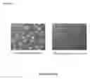 Fig. 05 - METHOD FOR PRODUCING MESOTHELIAL CELLS AND A CELL SHEET FOR PREVENTING ADHESION