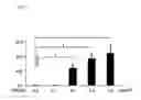 Fig. 03 - CULTURE MEDIUM AND CULTURING METHOD FOR ANCHORAGE-DEPENDENT CELLS, CELL COMPOSITION INCLUDING STEM CELLS AND/OR DIFFERENTIATED CELLS DERIVED FROM STEM CELLS, AND PRODUCTION METHOD FOR CELL COMPOSITION