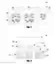 Fig. 02 - 3D-printed miniature biological constructs