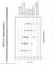 Fig. 102 - Methods for isolating microvesicles and extracting nucleic acids from biological samples
