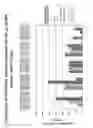 Fig. 170 - Methods for isolating microvesicles and extracting nucleic acids from biological samples