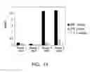 Fig. 32 - Semi-synthetic nurse shark VNAR libraries for making and using selective binding compounds