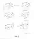 Fig. 07 - Protein and peptide libraries