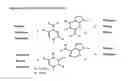 Fig. 03 - Templated molecules and methods for using such molecules