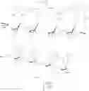 Fig. 161 - Templated molecules and methods for using such molecules