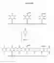 Fig. 29 - Templated molecules and methods for using such molecules