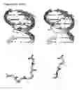 Fig. 47 - Templated molecules and methods for using such molecules