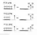 Fig. 49 - Templated molecules and methods for using such molecules