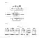 Fig. 06 - Programmable RNA shredding by the type III-A CRISPR-Cas system of 