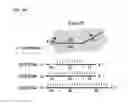 Fig. 09 - Programmable RNA shredding by the type III-A CRISPR-Cas system of 