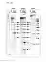 Fig. 10 - Programmable RNA shredding by the type III-A CRISPR-Cas system of 