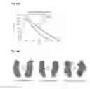 Fig. 29 - Programmable RNA shredding by the type III-A CRISPR-Cas system of 