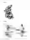 Fig. 37 - Programmable RNA shredding by the type III-A CRISPR-Cas system of 