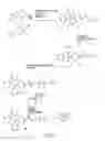 Fig. 06 - Oligonucleotide analogues having modified intersubunit linkages and/or terminal groups