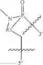 Fig. 22 - Oligonucleotide analogues having modified intersubunit linkages and/or terminal groups