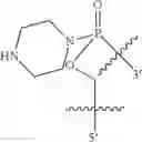 Fig. 23 - Oligonucleotide analogues having modified intersubunit linkages and/or terminal groups