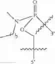 Fig. 33 - Oligonucleotide analogues having modified intersubunit linkages and/or terminal groups